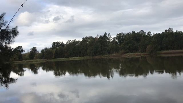 Мои "самоделки" для ловли рыбы в Австралии. [Australia]#2616 смотреть онлайн