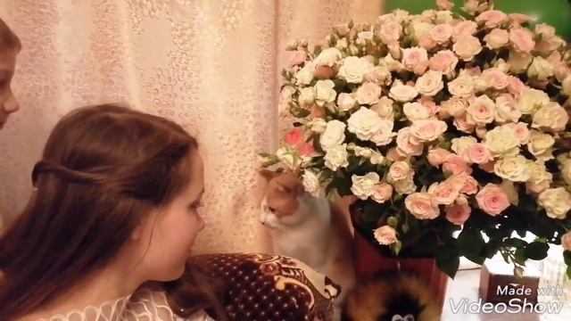 День рожденье. Сюрприз. Шикарный букет. Розы. Семейный праздник.