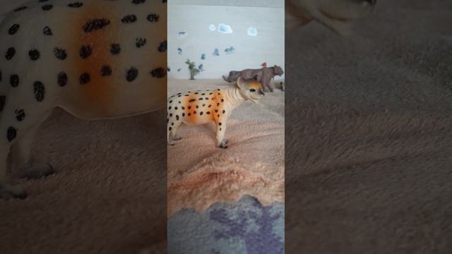 Животные Саванны смотреть онлайн