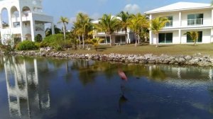 Куба, о. Кайо Коко, отель Memories Caribe 4* обзор территории отеля.
