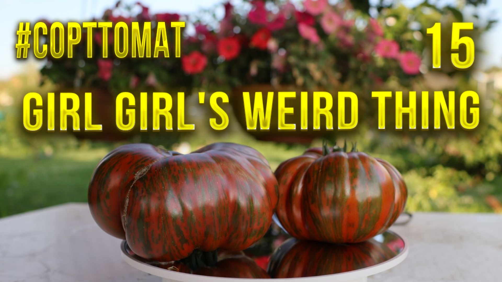 15 Девочка Девочки Странная Вещь, Girl Girl's Weird Thing, сорттомат