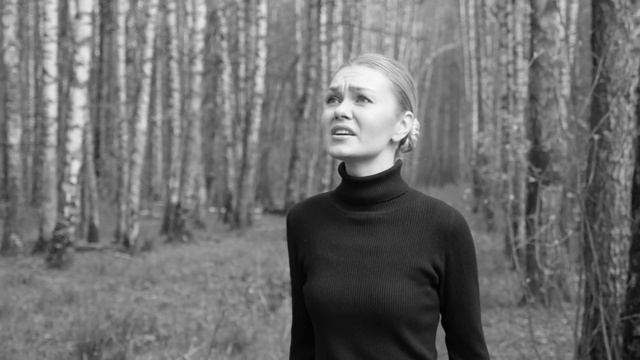 Журавли ( Мне кажется порою, что солдаты...) Ксения Лазунина смотреть онлайн