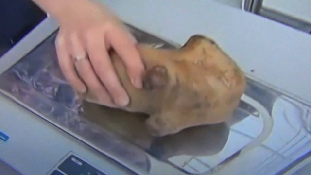 Картошка гигант Самая гигантская картошка Картофель гигант смотреть онлайн