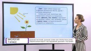 Биология. 7 класс. Дыхание растений. Дыхание семян или проростков семян /15.12.2020/