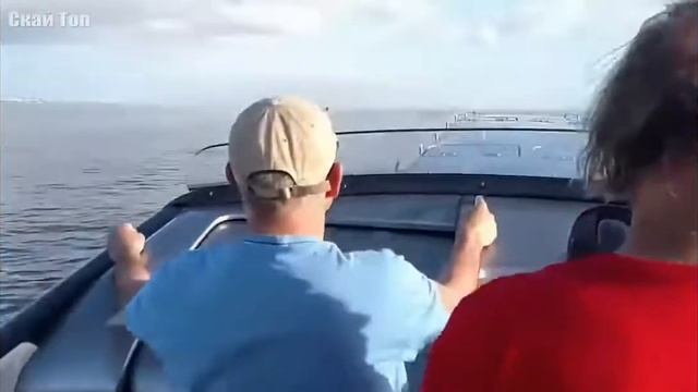 Топ 5 самых быстрых лодок в мире смотреть онлайн