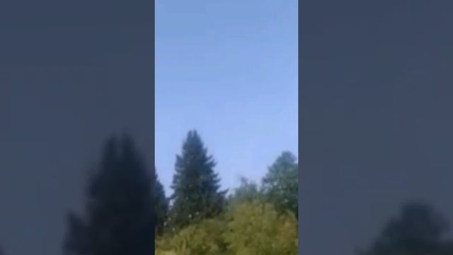 сплавы на плотах по реке Анграпа Калининградская область. дикий мир калиниград.
