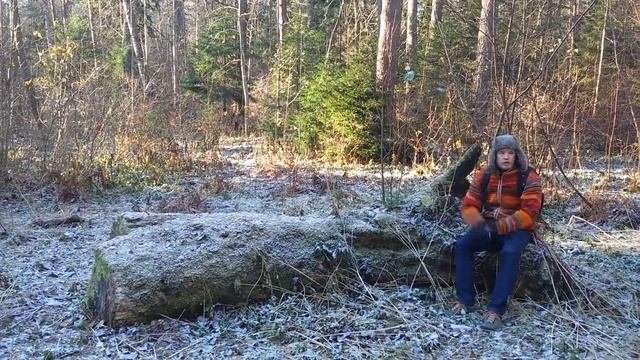 Что интересного в Комарово? ООПТ Комаровский берег.