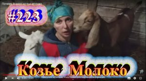 Почему Воняет козье молоко
