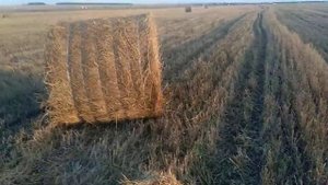 пресс пр 200 . полное видео в поле