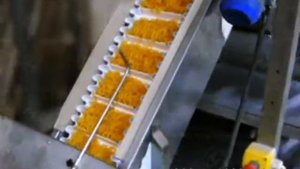 Линия жарки снеков (чипсов, луковых колец)из пеллет