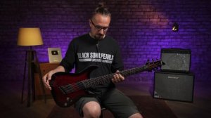 SCHECTER OMEN ELITE-7 MS - мультимензурная гитара 7 струн