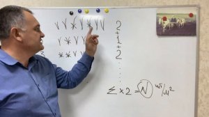 Хлебная жужелица. БИТЬ или НЕ БИТЬ.