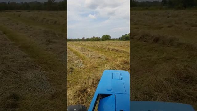 Сгребание сена грабля sipma 450! смотреть онлайн