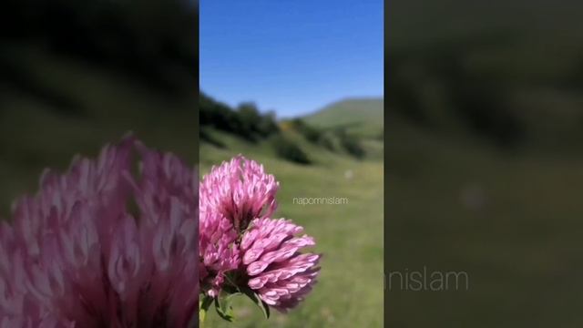 Madi Rahman - я больше не хочу высокого полёта смотреть онлайн