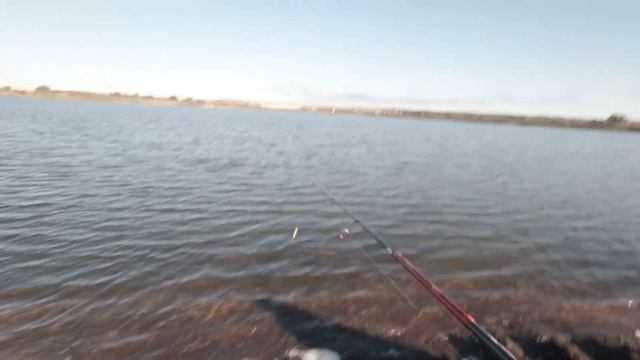 Рыбалка на карьере вблизи Угры. В конце видео лайфхак как чистить окуня. смотреть онлайн