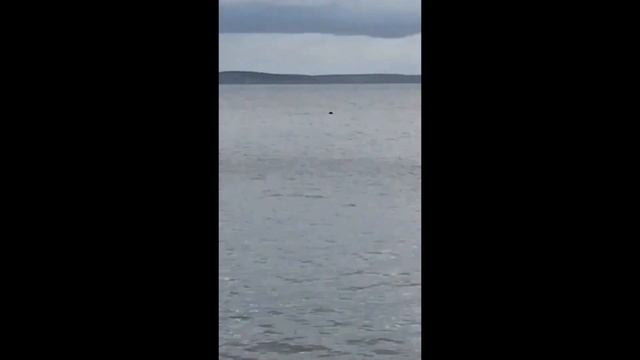 Рыбалка. Северная Ладога. Шхеры. Делаем походную Баню. Закрытие сезона. Ловим много щуки. Троллинг смотреть онлайн