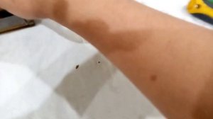 Монитор Электроника МС6106 02 Содержание драгметаллов.Разборка.