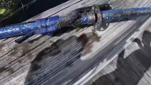 ТОП 5 ШОКИРУЮЩИХ НАХОДОК ПОД ВОДОЙ. Находки поисковым магнитом на дне водоемов.