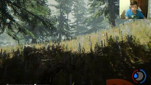 НЕЖДАННЫЙ ГОСТЬ НА ГОРЕ/THE FOREST смотреть онлайн