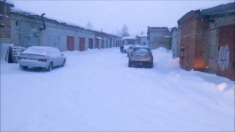 Мотособака побежала