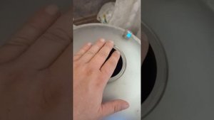 муки выбора. мзбо или русская дымка!!!