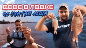 ДВОЕ В ЛОДКЕ, НЕ СЧИТАЯ ЛЕЩА | Рыбалка на кольцо и подпуск с лодки на реке Ока #рыбалка #лещ #ока