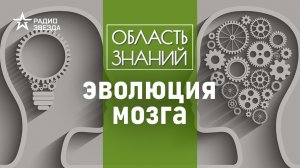 Как киту удалось обойти человека по количеству извилин. Лекция антрополога Елены Судариковой.