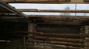 Содержание коров в загоне. Результаты.