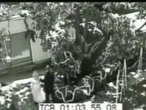 Изменна невесты на свадьбе...