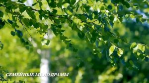 Подаренную квартиру Аллы хотела отобрать свекровь, но невестка красиво её проучила...