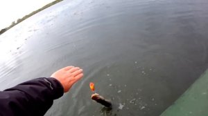 Рыбалка. Щучка. Хорватское яйцо.