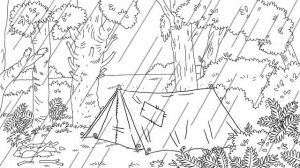 HOME SWEET HOME - Cat Sitting Pt.3