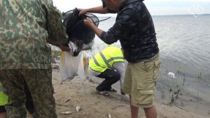 Соревнования по ловле рыбы фидерной удочкой, посвященные Дню Рыбака