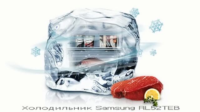 Холодильник SAMSUNG RL52TEBSL смотреть онлайн