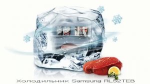 Холодильник SAMSUNG RL52TEBSL