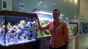 #Аквариум с тумбой #Juwel LIDO 200 за полцены!