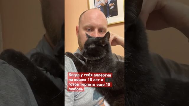Аллергия на кошек #когки #кошки #аллергия #любовькживотным