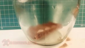 Эксперименты с вакуумной камерой