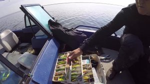 Ловля щуки на лиманах Краснодарского края