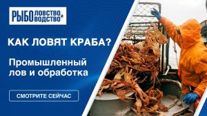 Промышленный лов краба в Охотском море