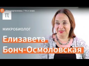 Микроорганизмы: интервью с Е.А. Бонч-Осмоловской