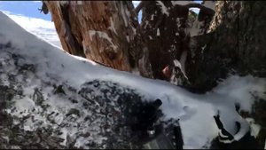 Риддер снегоходный сезон 2022г