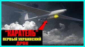 В Украине приняли на вооружение отечественный беспилотник "КАРАТЕЛЬ"