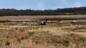 В доль болота на Вездеходе Пелец Круизер , 2015 года выпуска