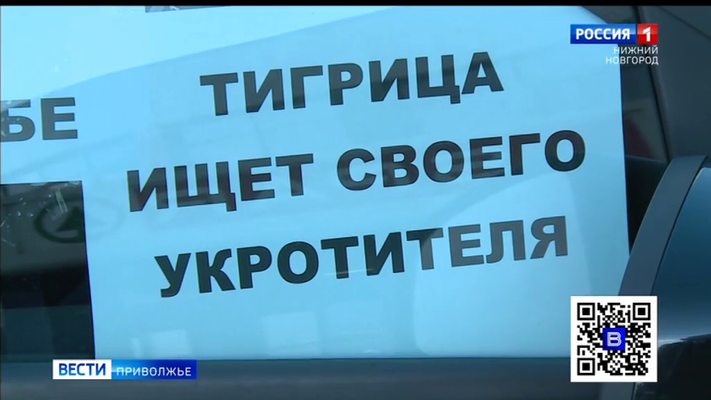 Популярные Сайты Знакомств В Нижнем Новгороде