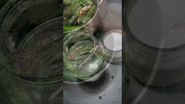 РЕЦЕПТ МАЛОСОЛЬНЫХ ОГУРЦОВ//А КАК ВЫ ЭТО ДЕЛАЕТЕ? #рецепт #заготовкиназиму #солюогурцы