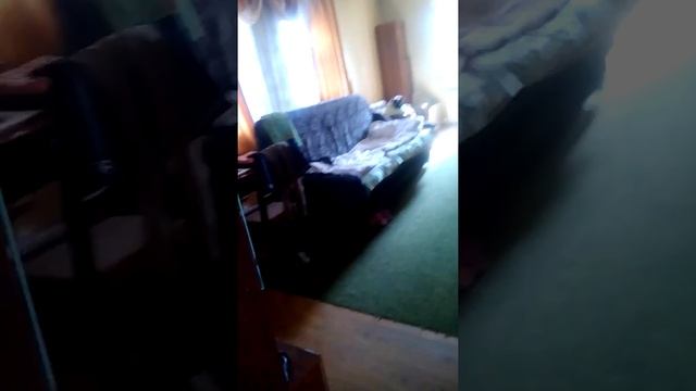 Как же вызвать Чеширского кота? Я вам покажу? смотреть онлайн