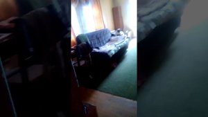 Как же вызвать Чеширского кота? Я вам покажу?