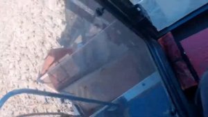 Енисей 950 уборка подсолнечника.