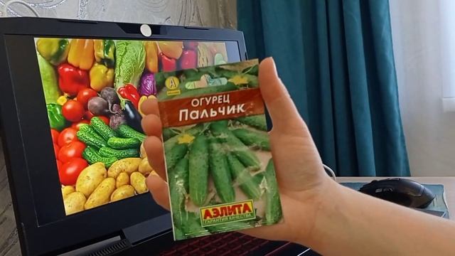 Семена для открытого грунта. Выращиваем томаты без теплицы. смотреть онлайн